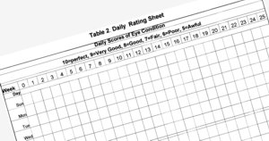 Image shows detail of the weekly chart from the eye condition rating kit